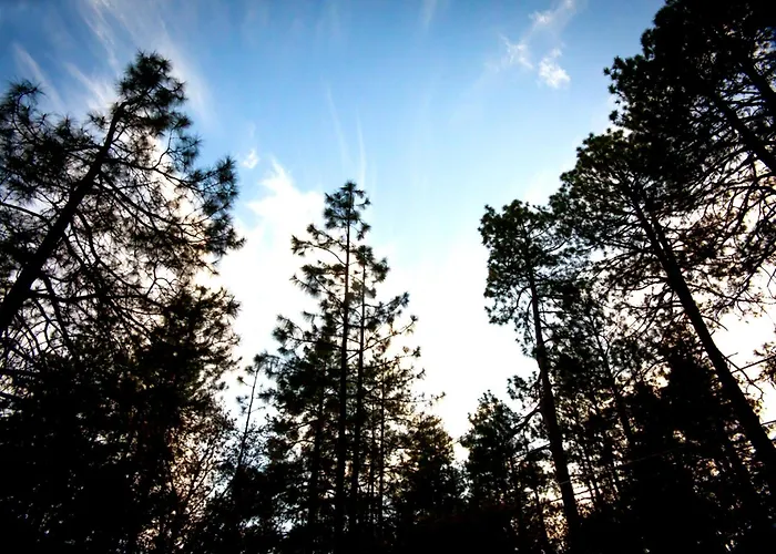 Peaceful Place Holiday home Pine